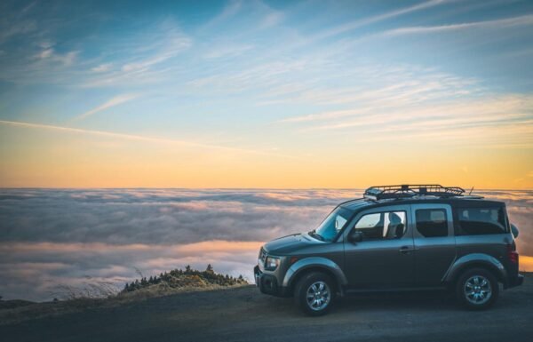 Royale Transportation