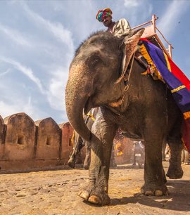 Wedding Vendors, Wedding Photographers, Makeup Artists, Wedding Venues Listing Location Taxonomy Jaipur